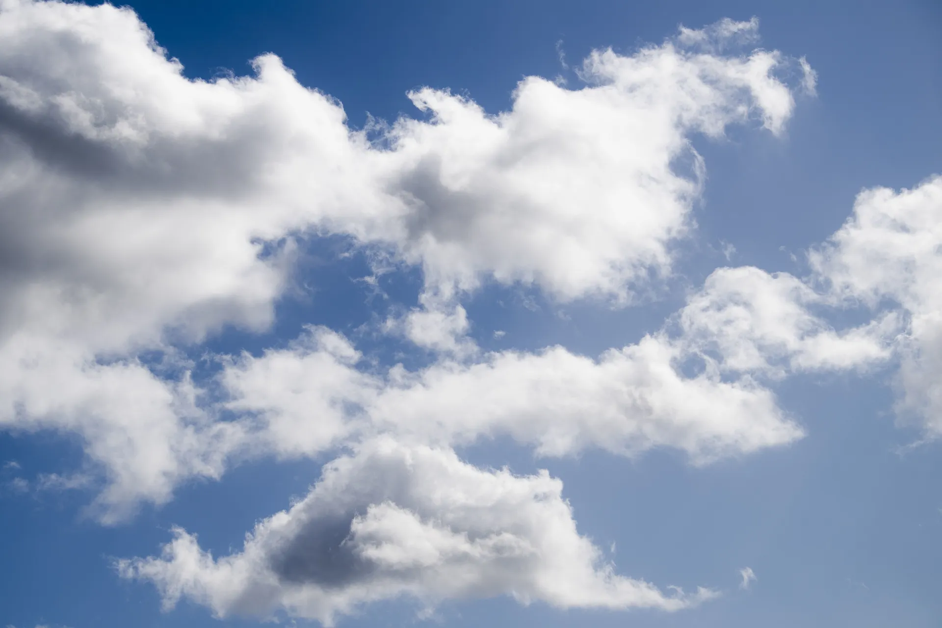 Bigdeal OnlyFans header