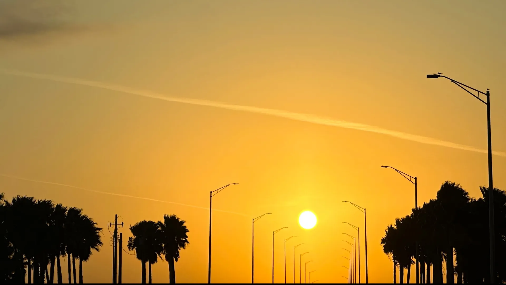 Rodeo54 OnlyFans header