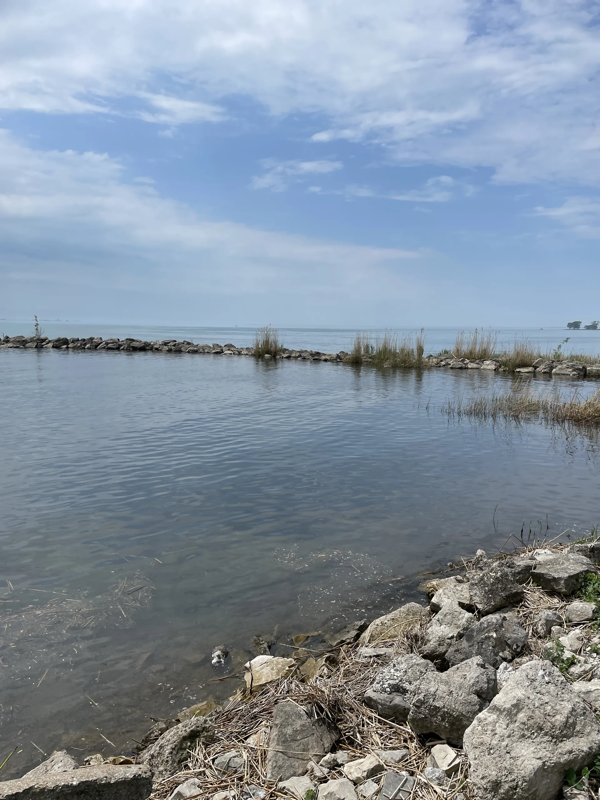 Bigdickbear OnlyFans header