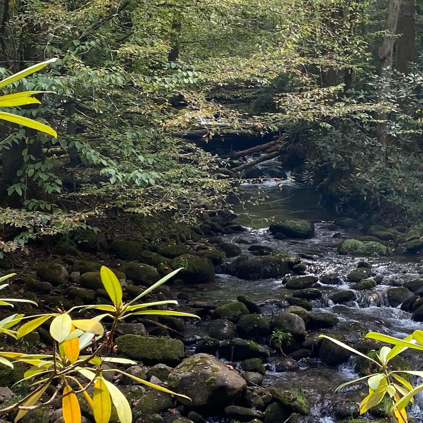 Abdiel OnlyFans header