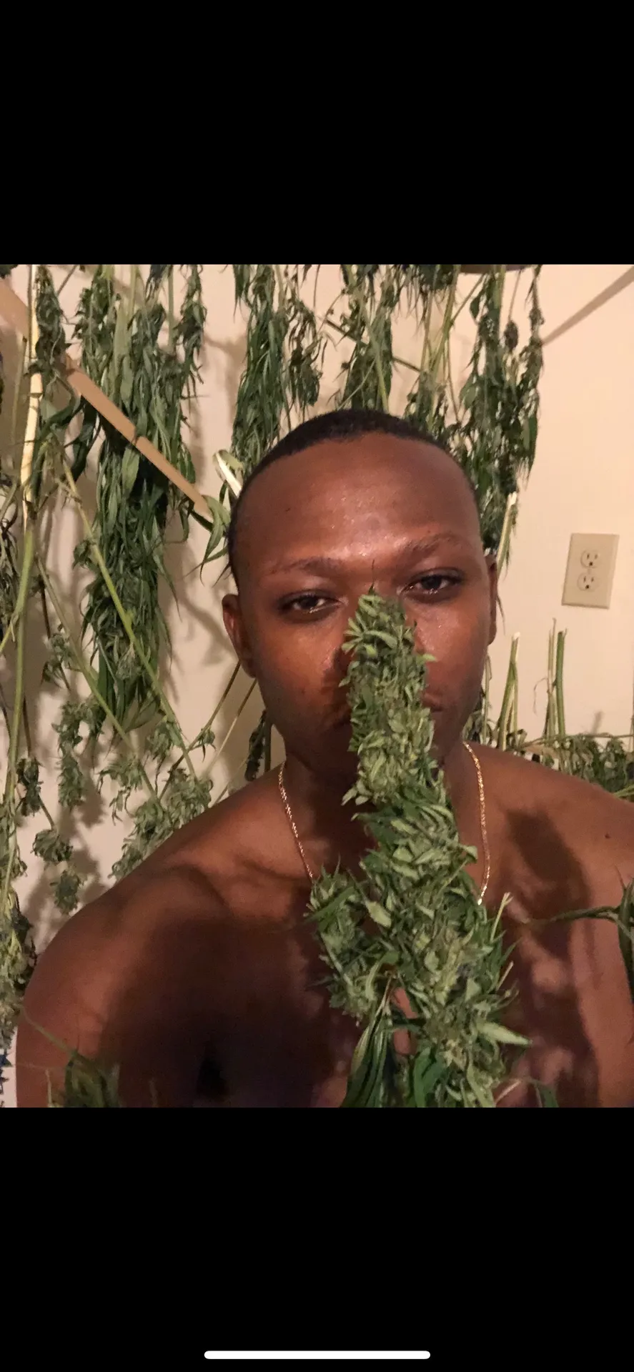 Big Dick Energy Only