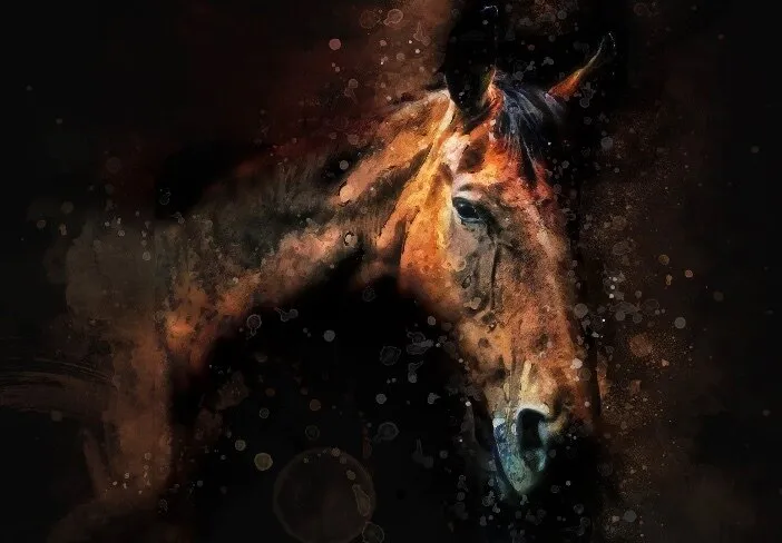 MrNutAndKeepGoing OnlyFans header