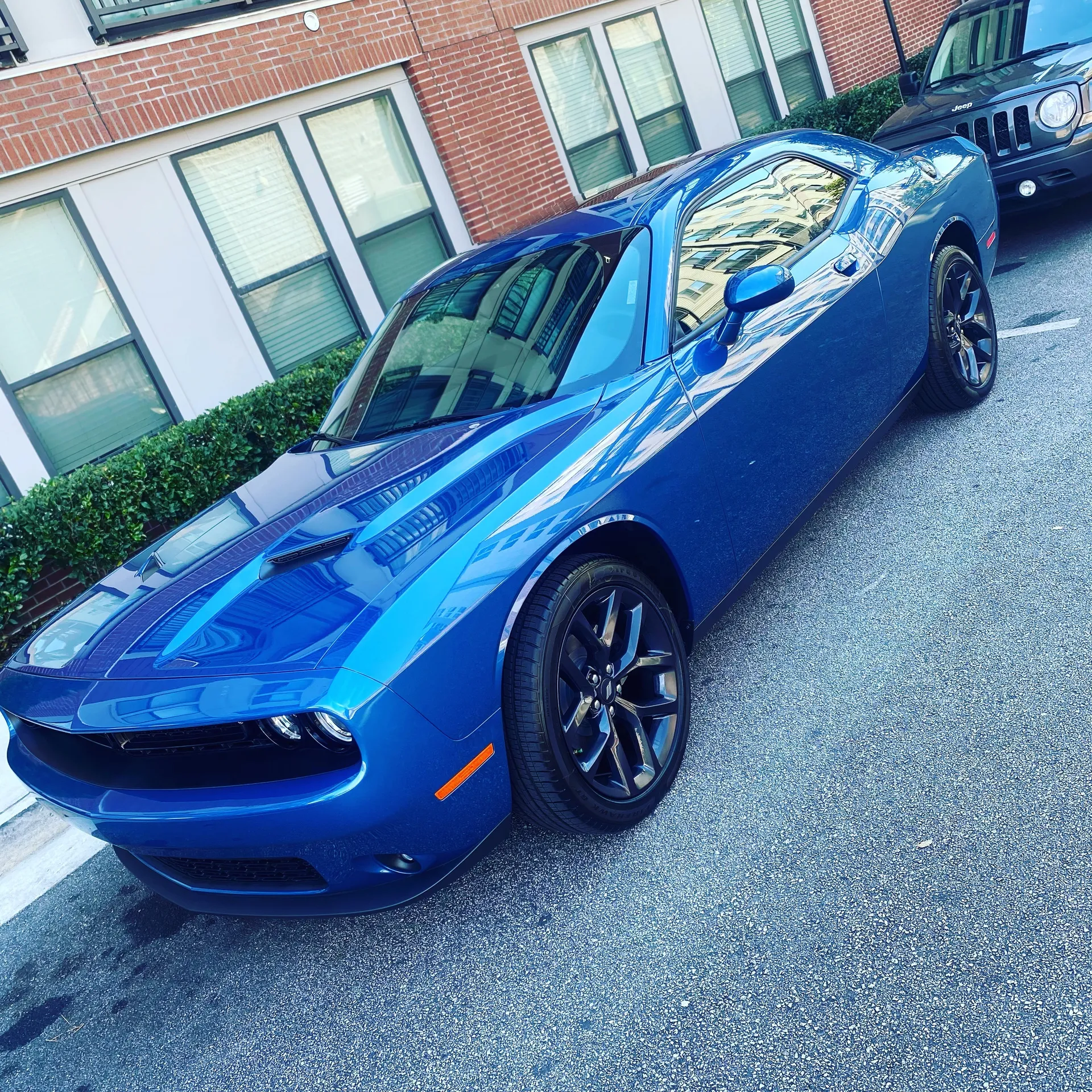 Fellow OnlyFans header