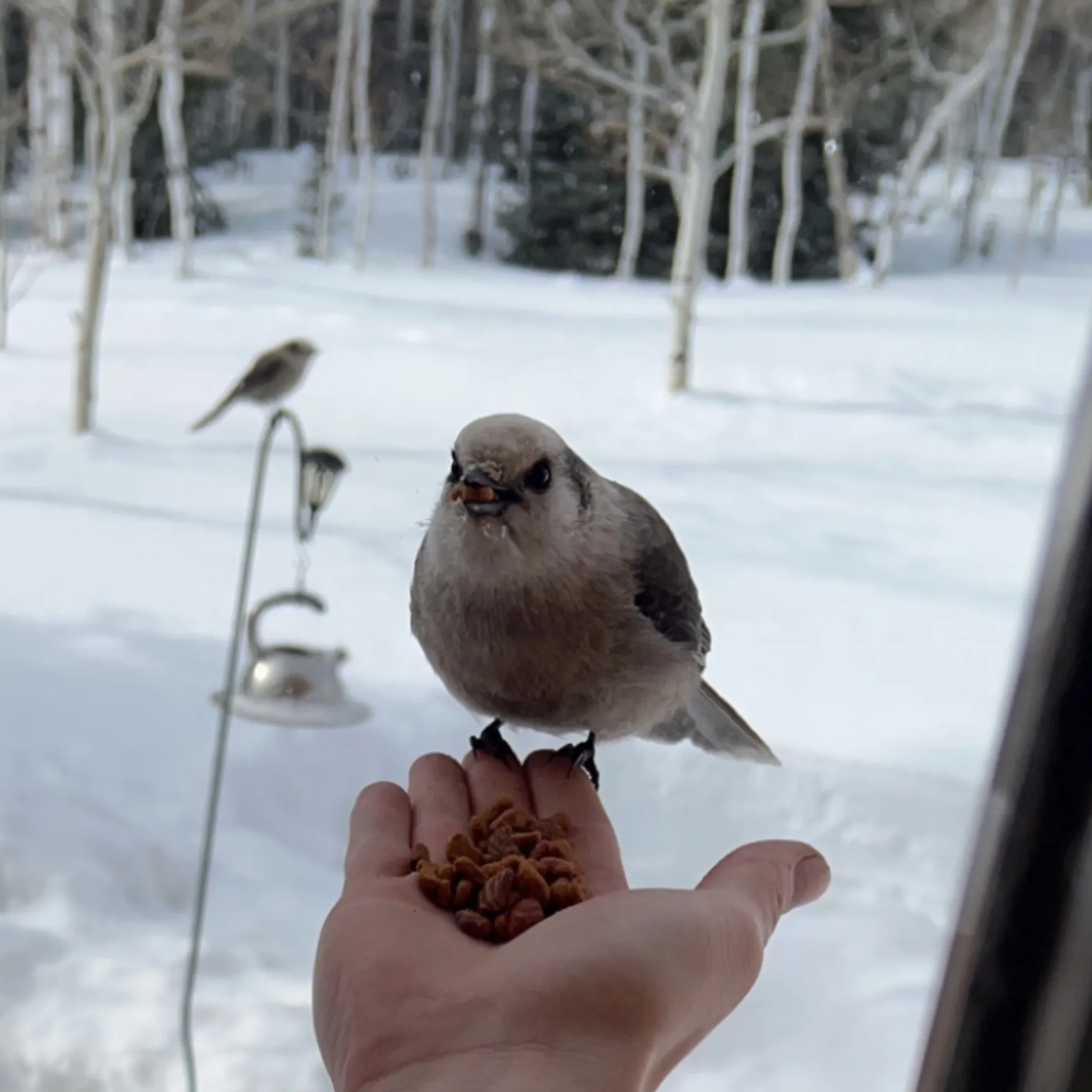 Milph Hunter OnlyFans header