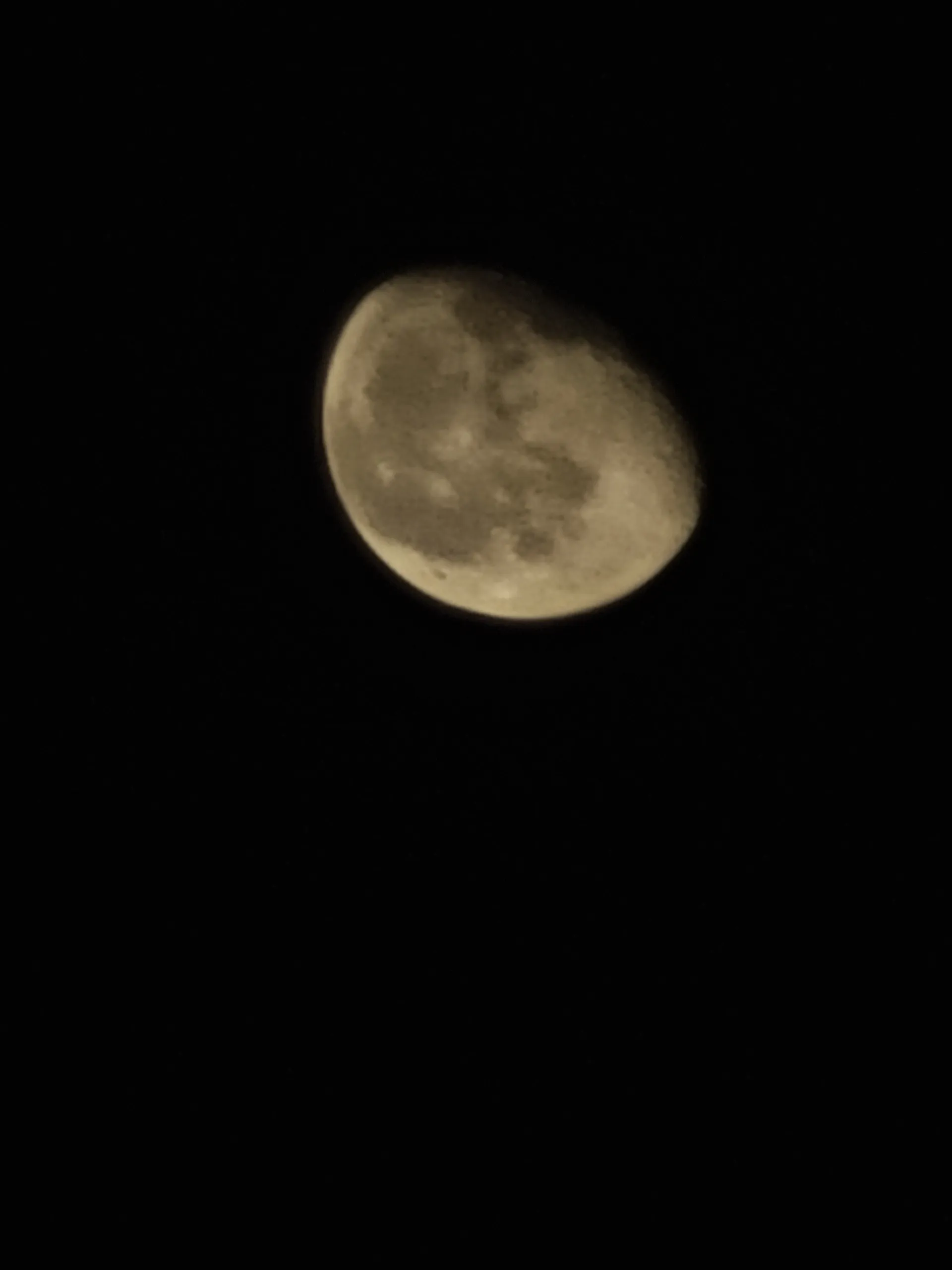 Bigdickswanger69 OnlyFans header