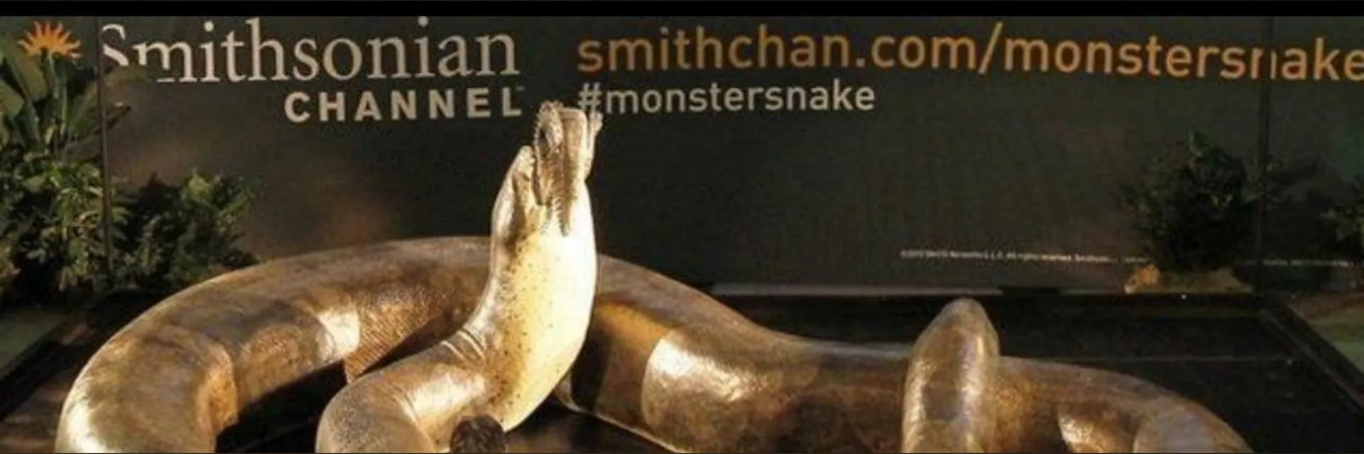 BigDickTeen OnlyFans header