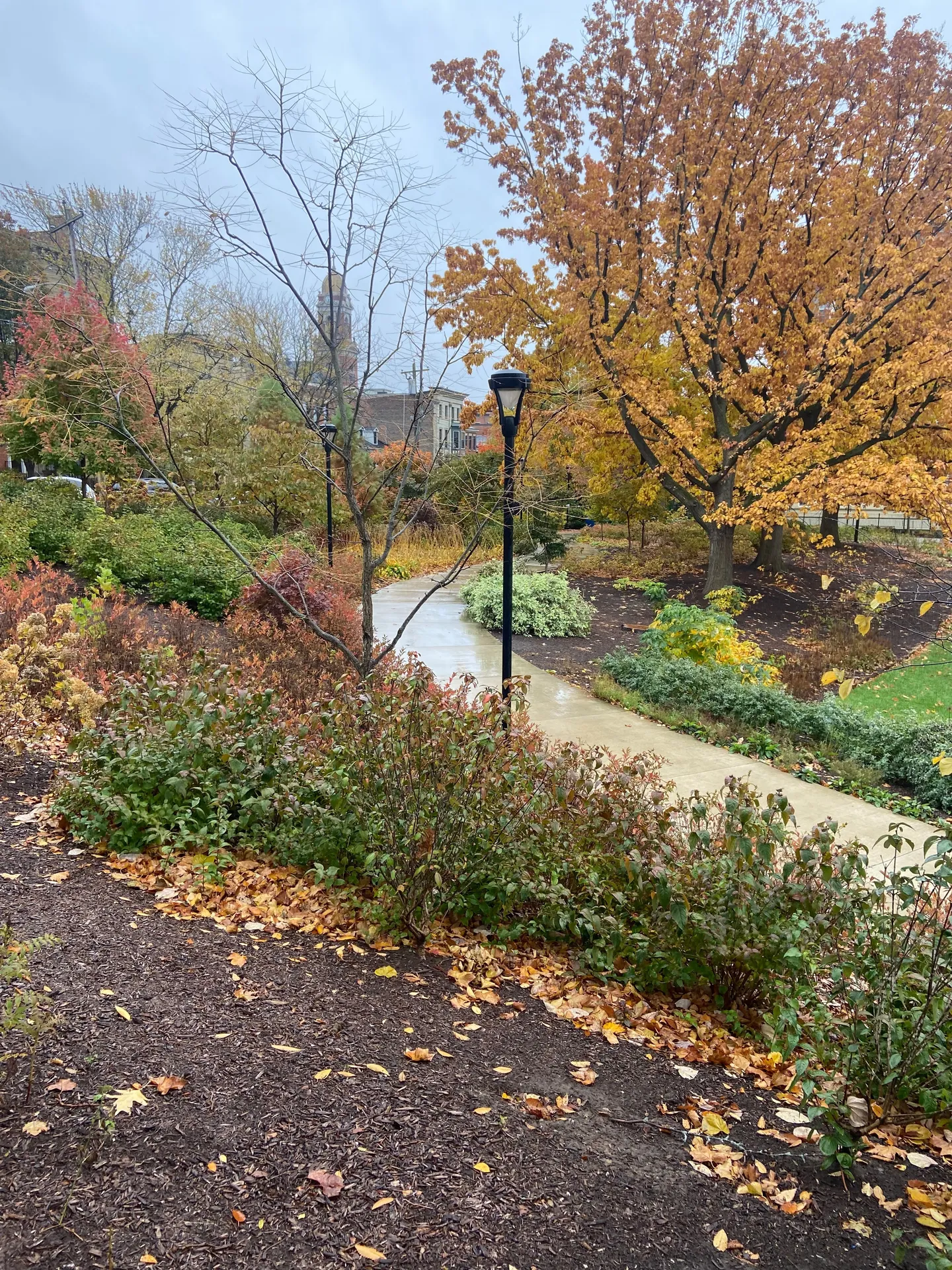 Regal 🤴 West 🕶️