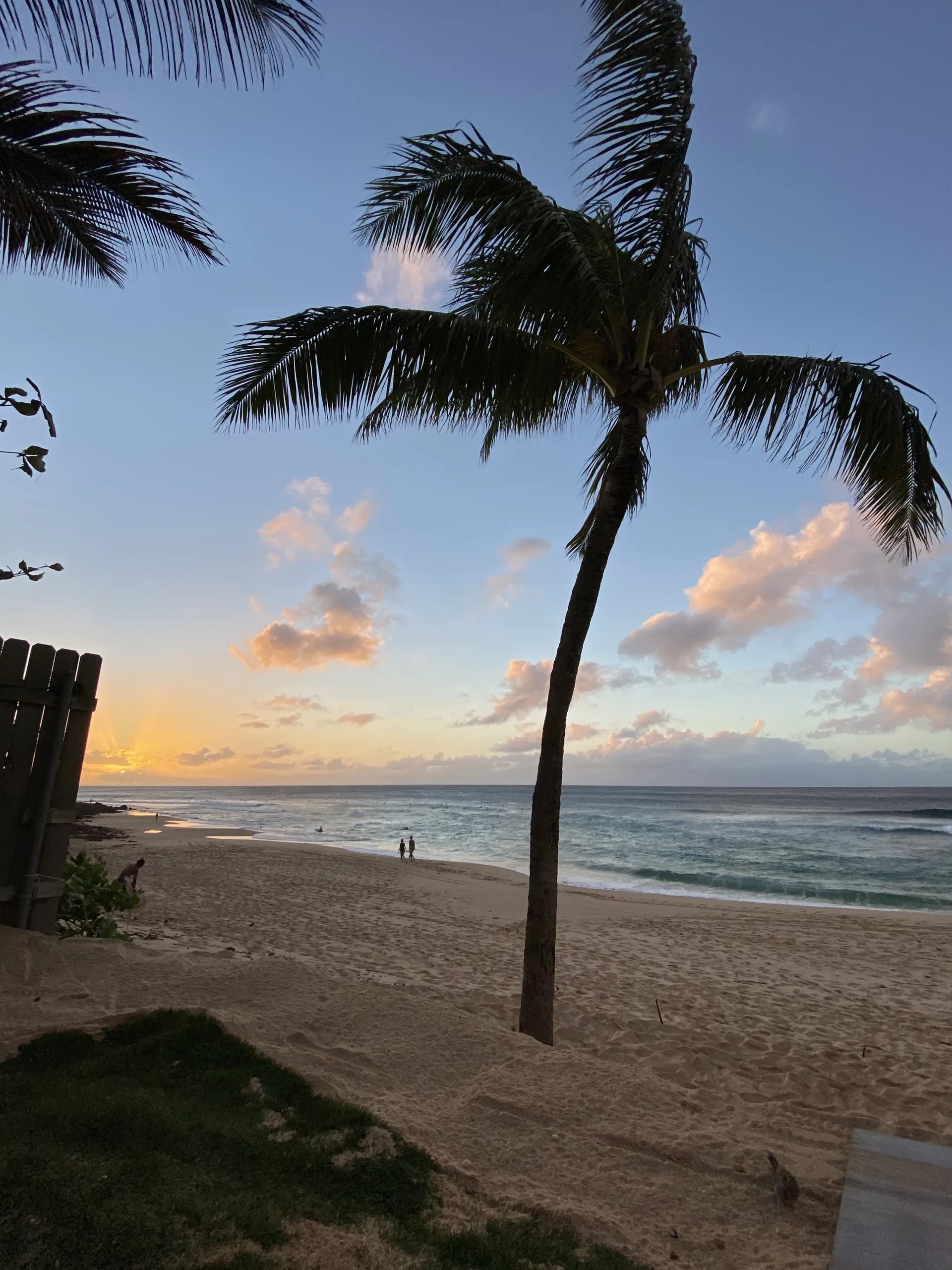 surferboyjoy OnlyFans header