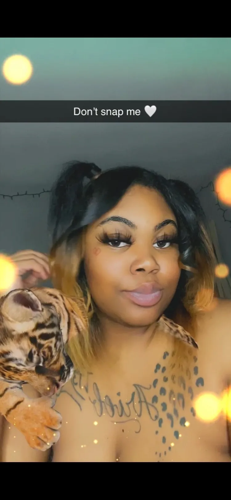 BigFatPusc🦁2 OnlyFans header