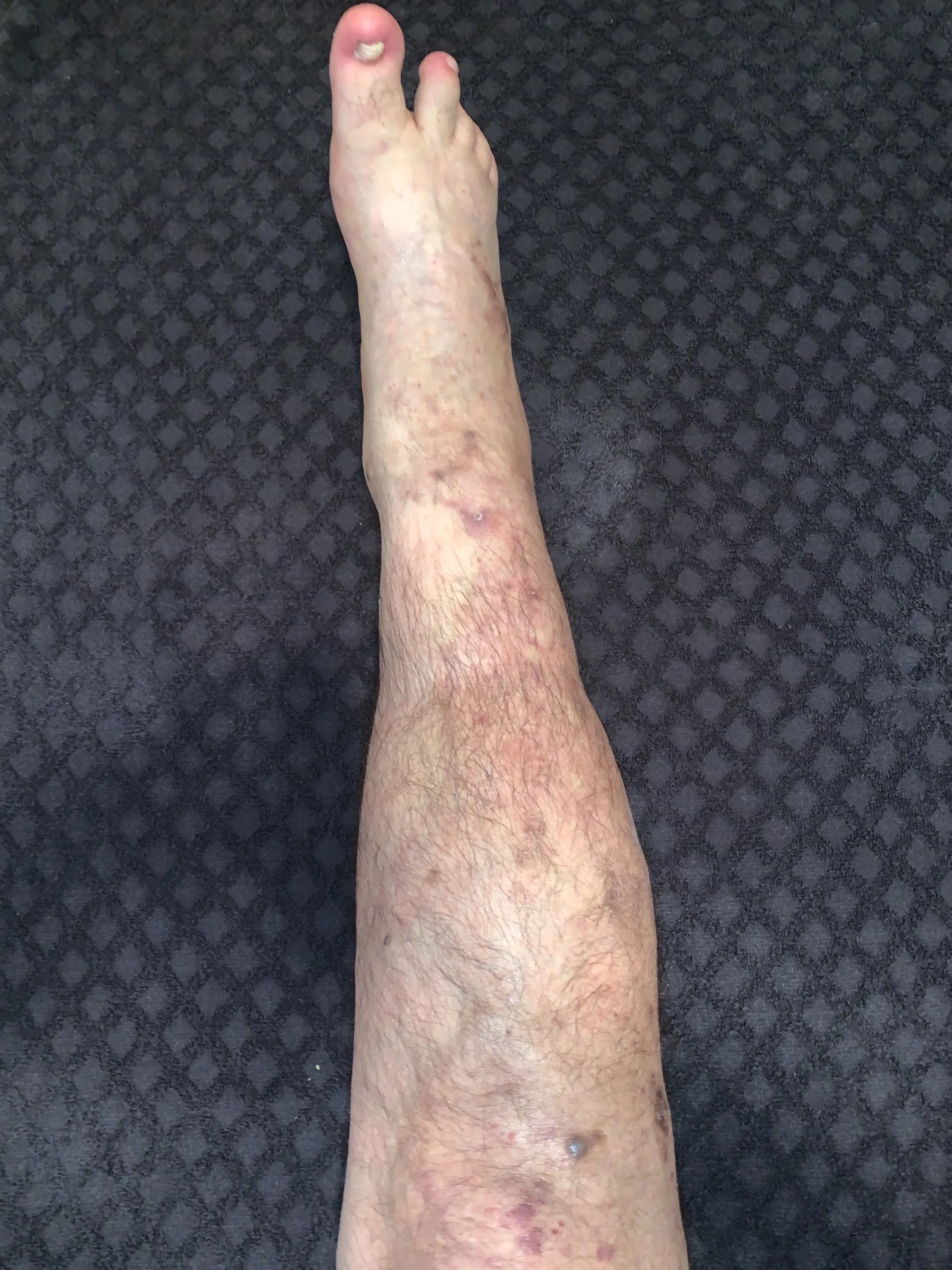 Sasquatch OnlyFans header