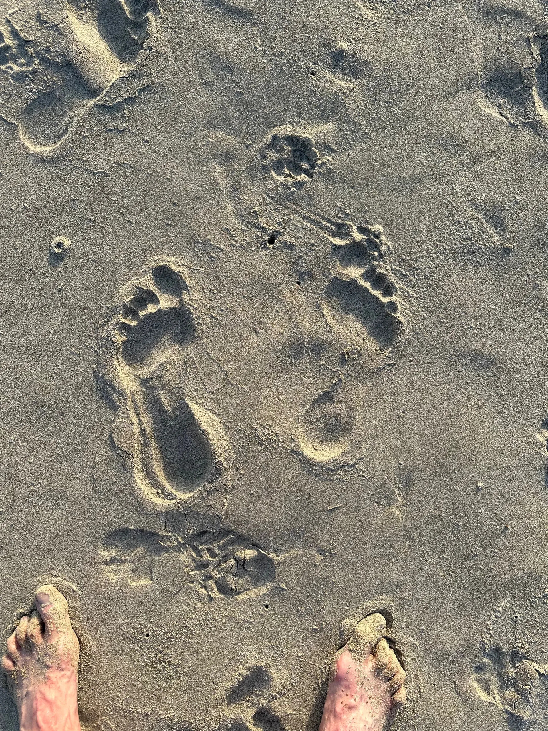 Bigfoot_abroad OnlyFans header