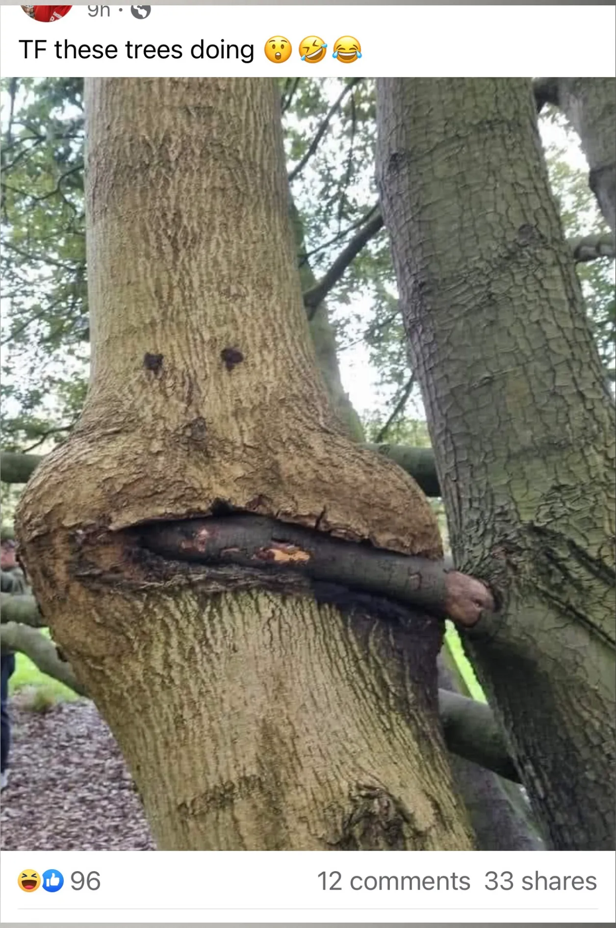 Big Freaky OnlyFans header