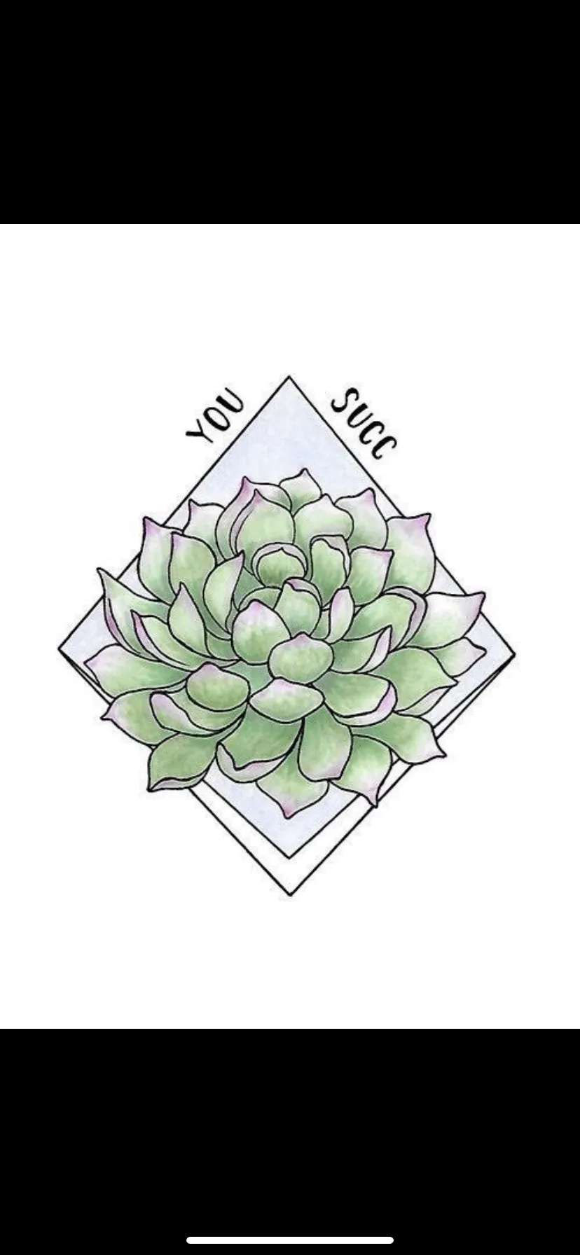 Big Al OnlyFans header