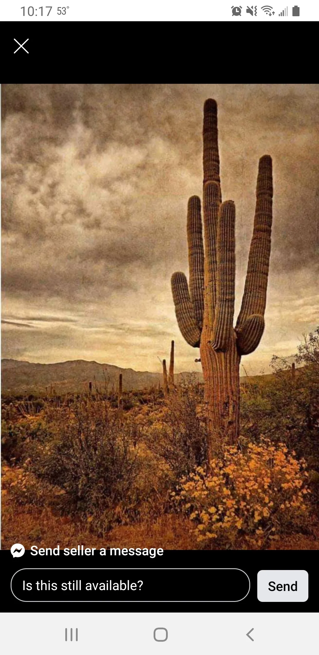 BIGG JADE VIP OnlyFans header