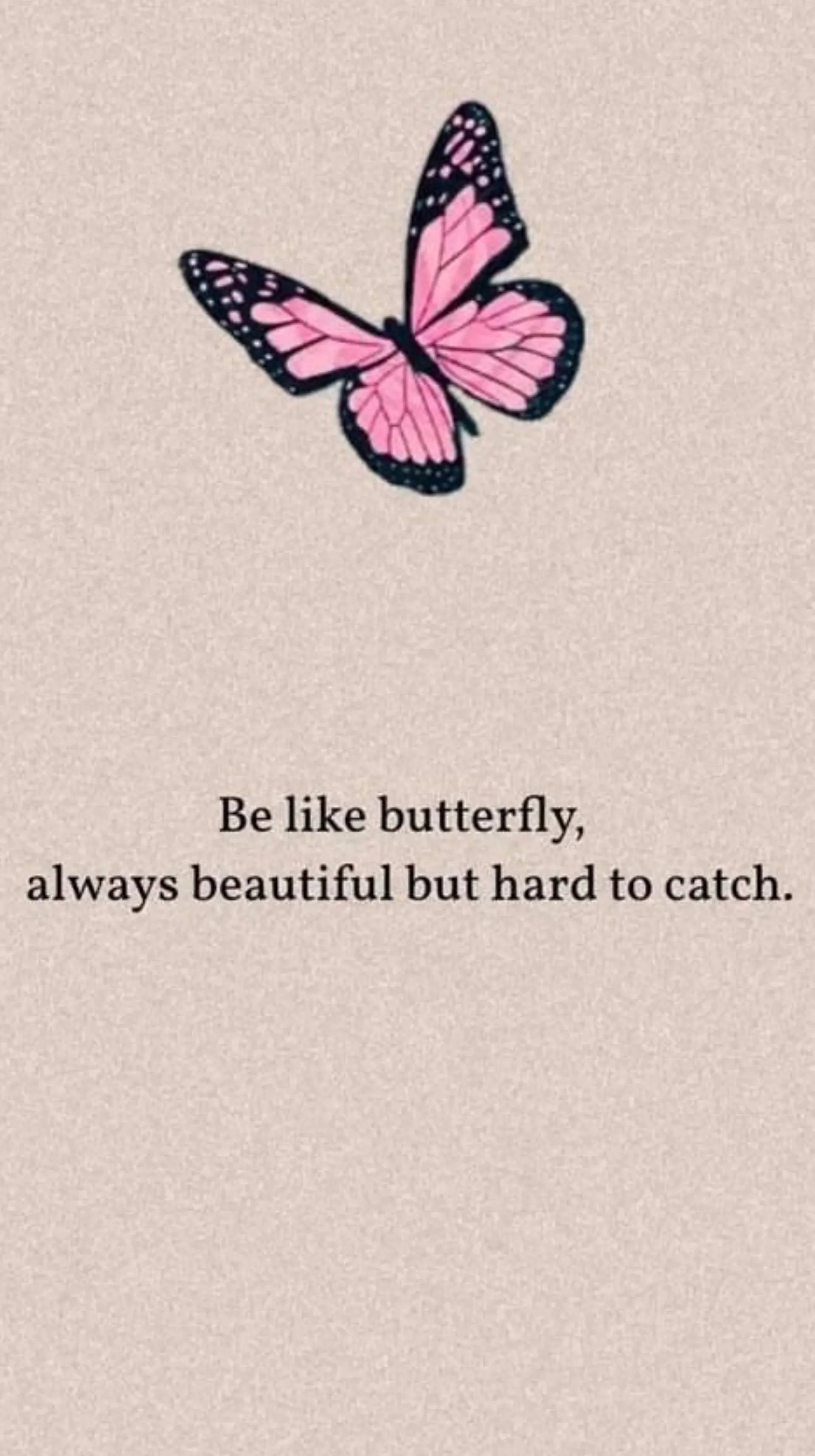 Big Bank Bella 🦋💕 OnlyFans header