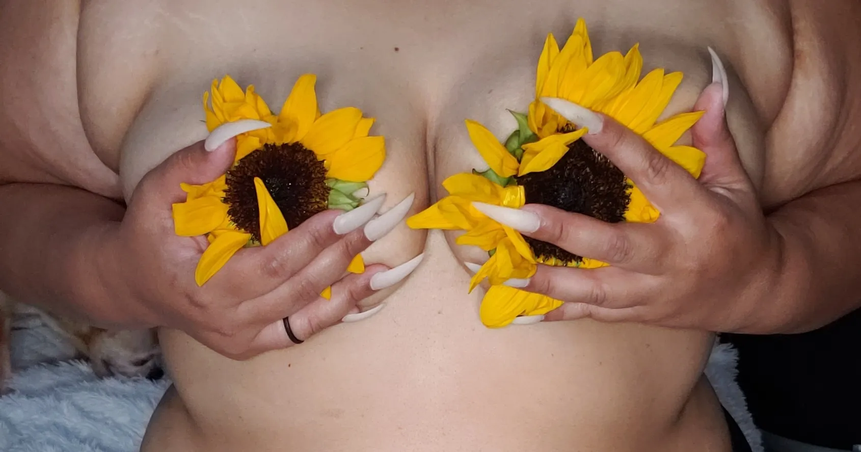 Biggbooty445 OnlyFans header