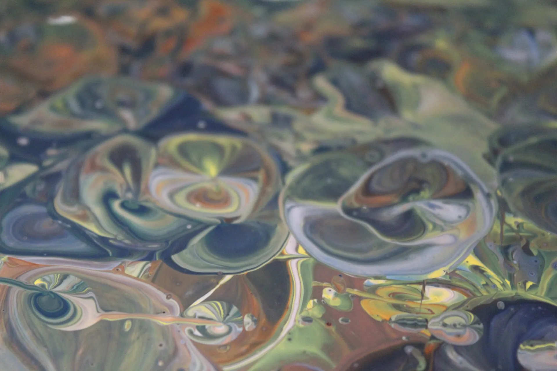 Choppy OnlyFans header