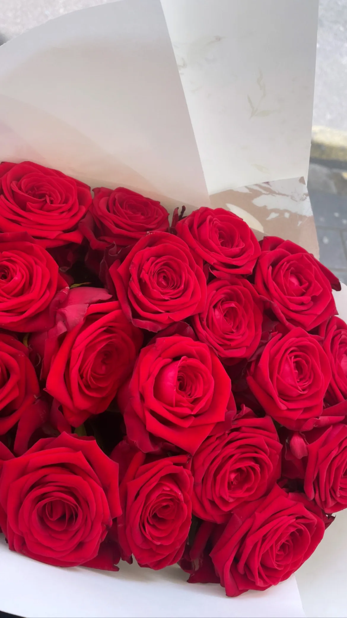 ❤️ OnlyFans header