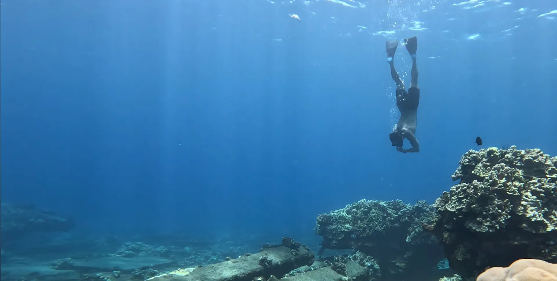 BigggWild OnlyFans header