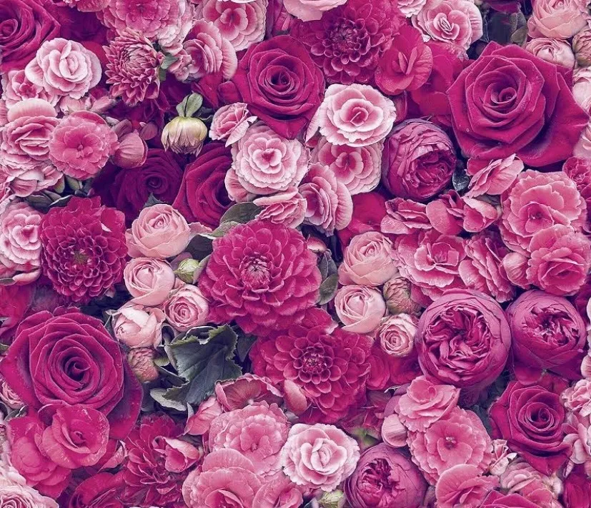 BigGirl100 OnlyFans header