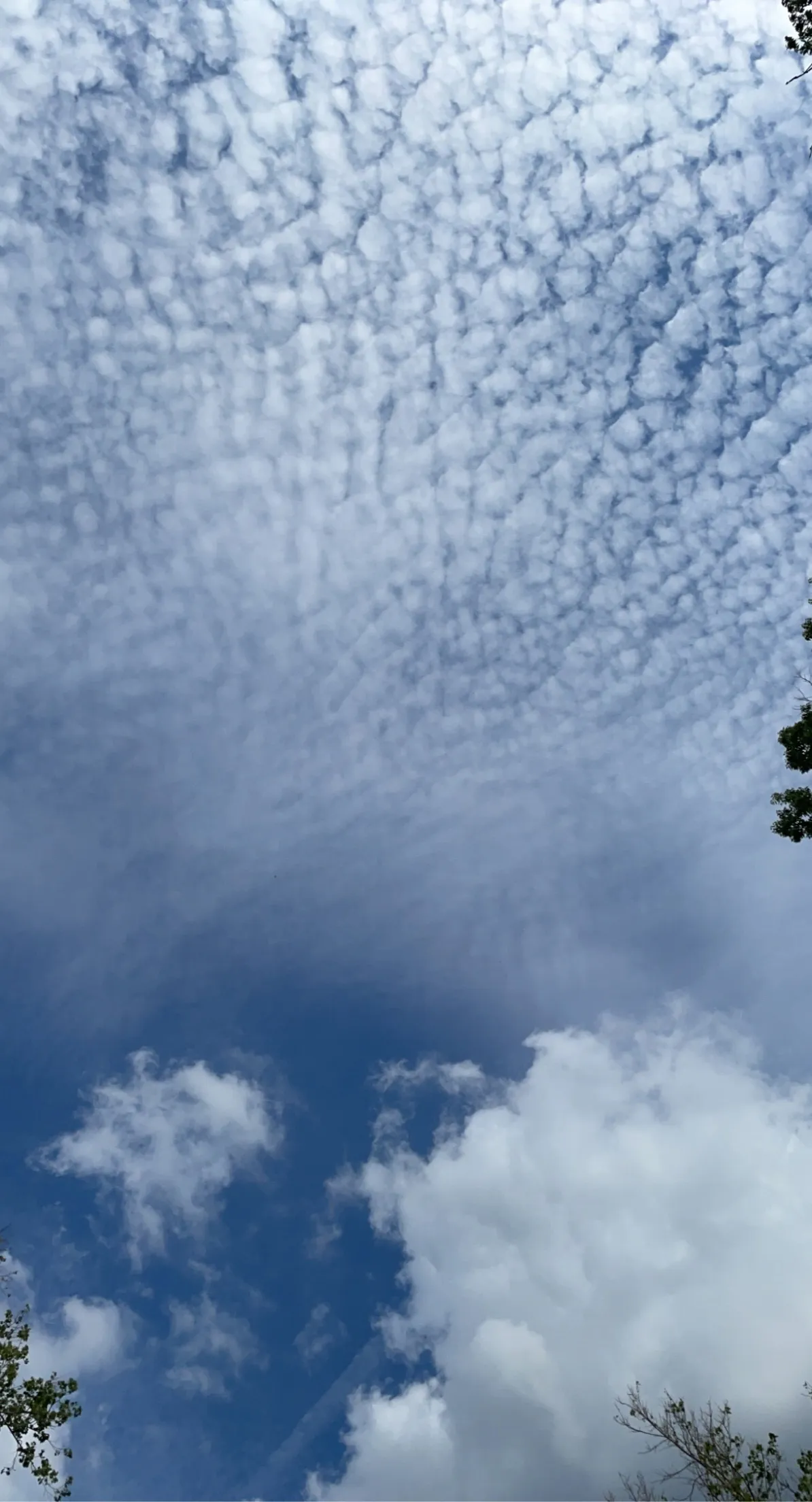 Stephanie OnlyFans header