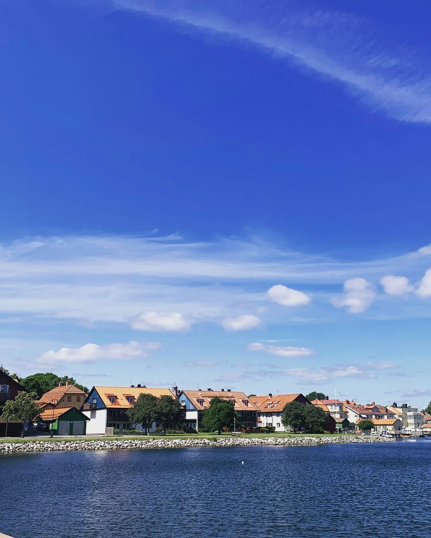 Bbwsweden OnlyFans header