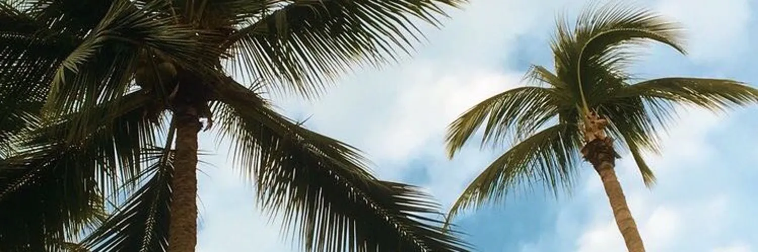 Guapa 💞 OnlyFans header