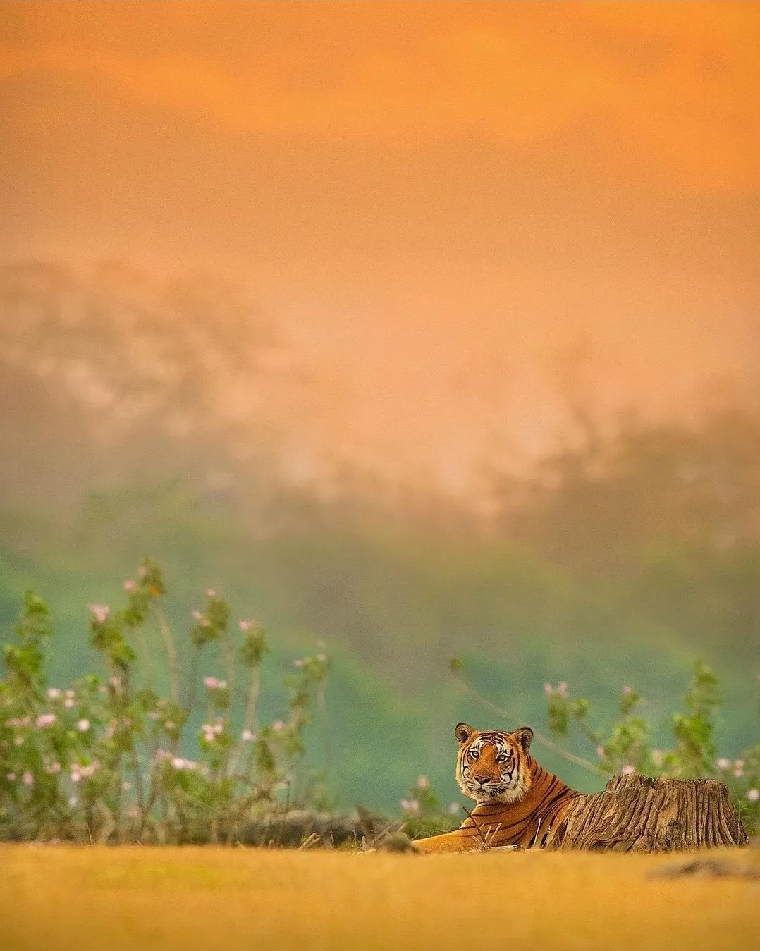 Biggun OnlyFans header