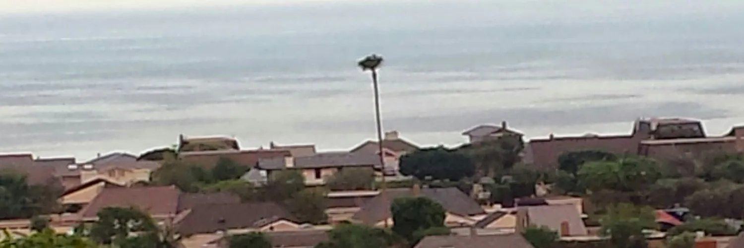 Bigguyinperu OnlyFans header