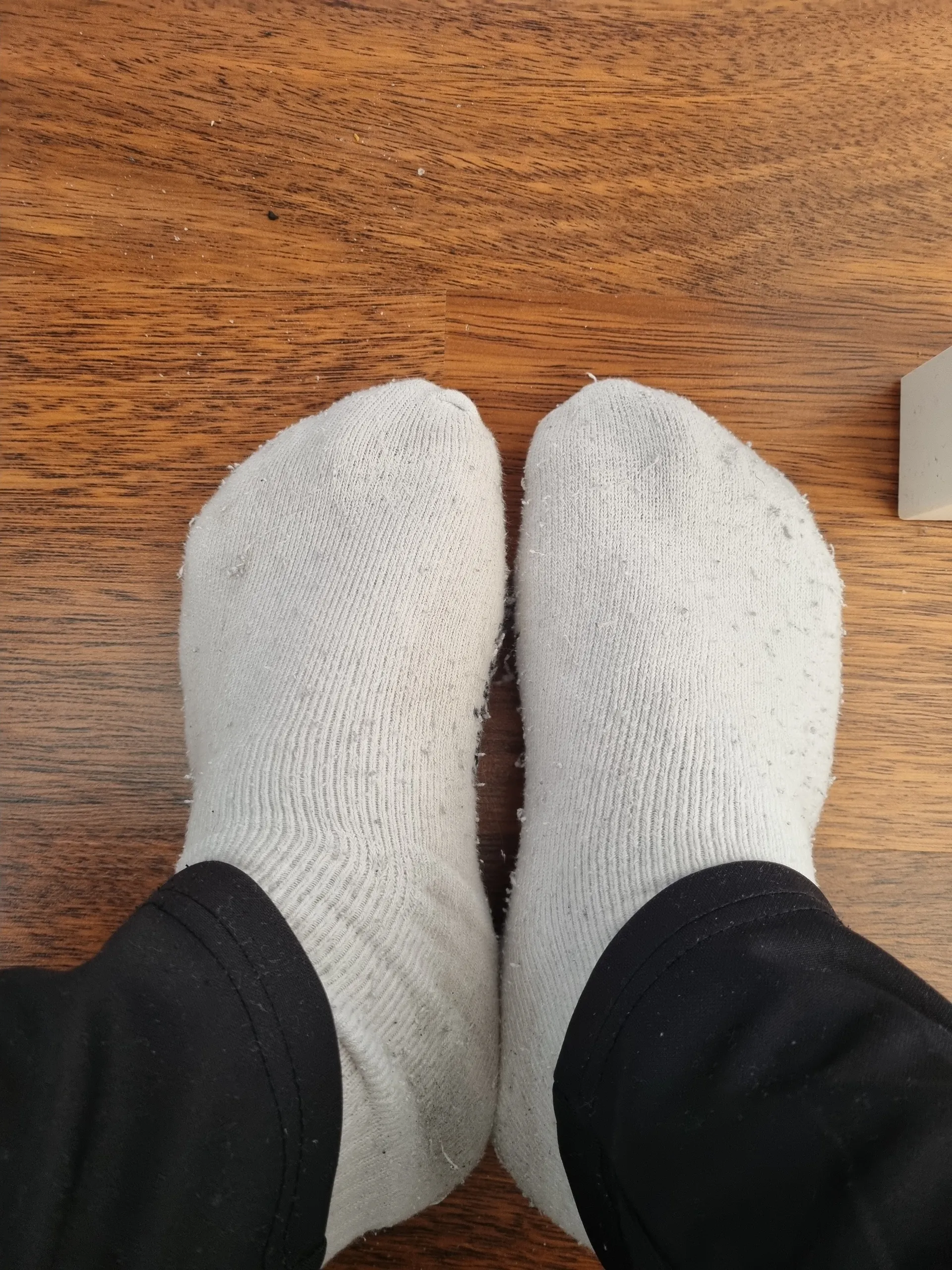 Secret OnlyFans header