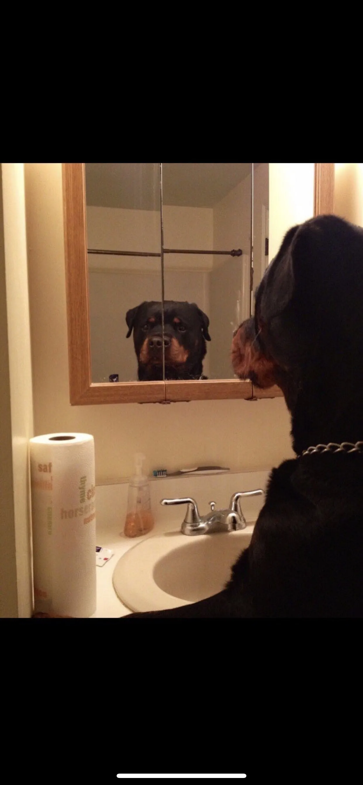 Top Dawg OnlyFans header