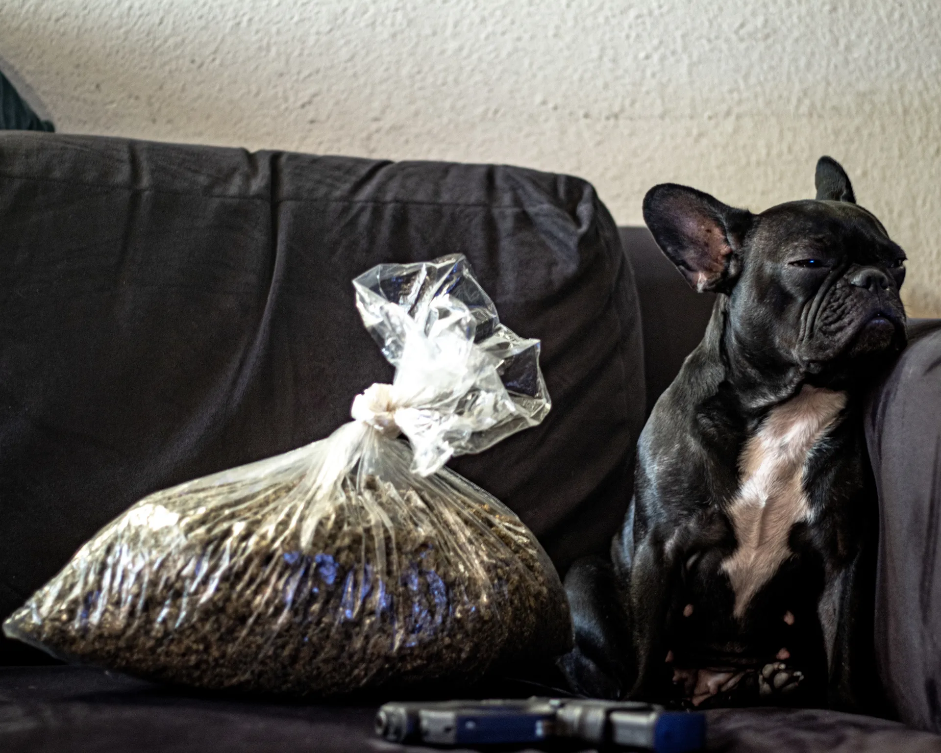 Big Joe the Don OnlyFans header