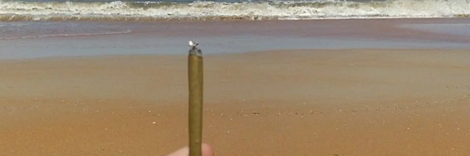 sancho OnlyFans header