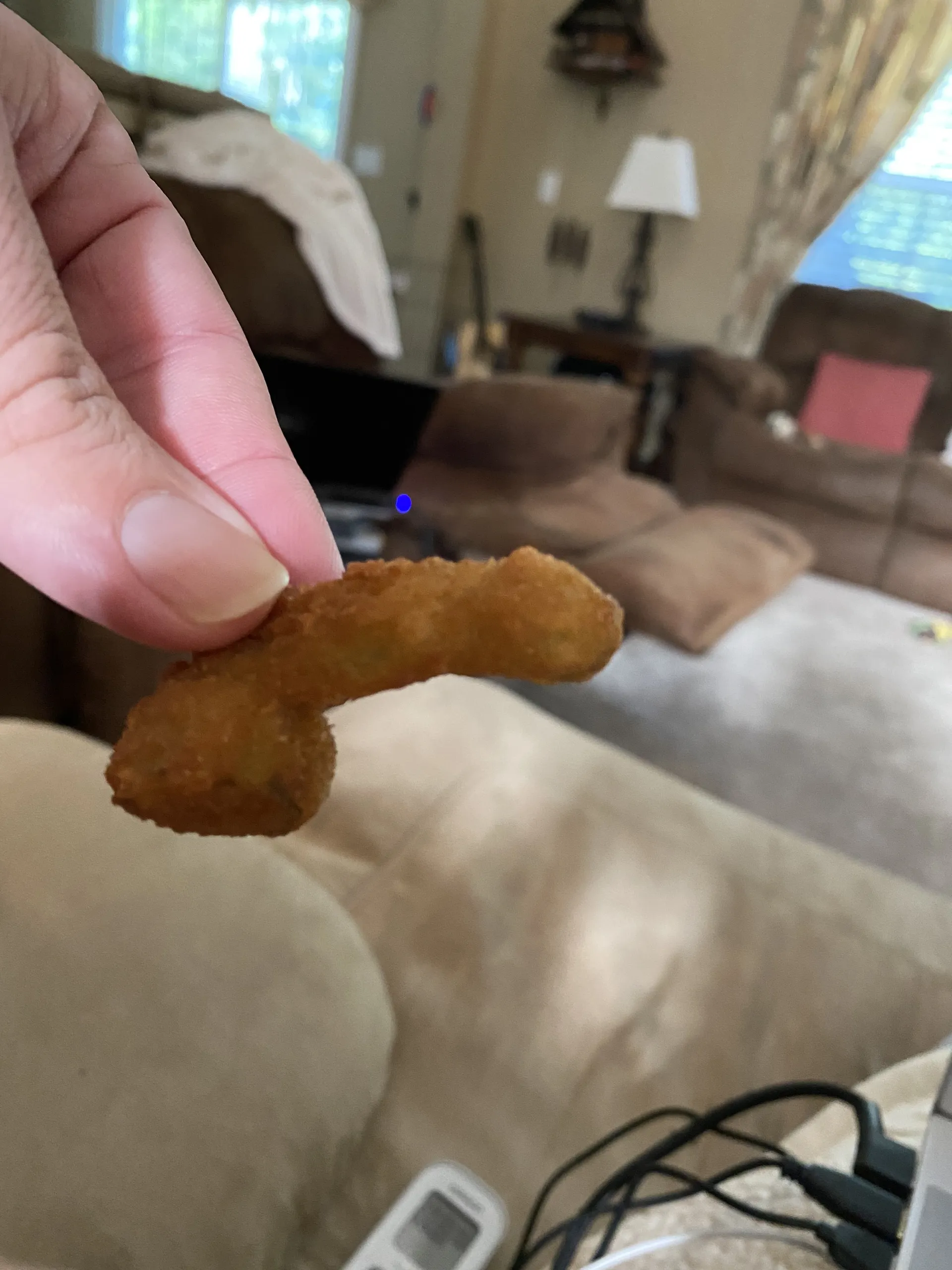 Kittykat OnlyFans header