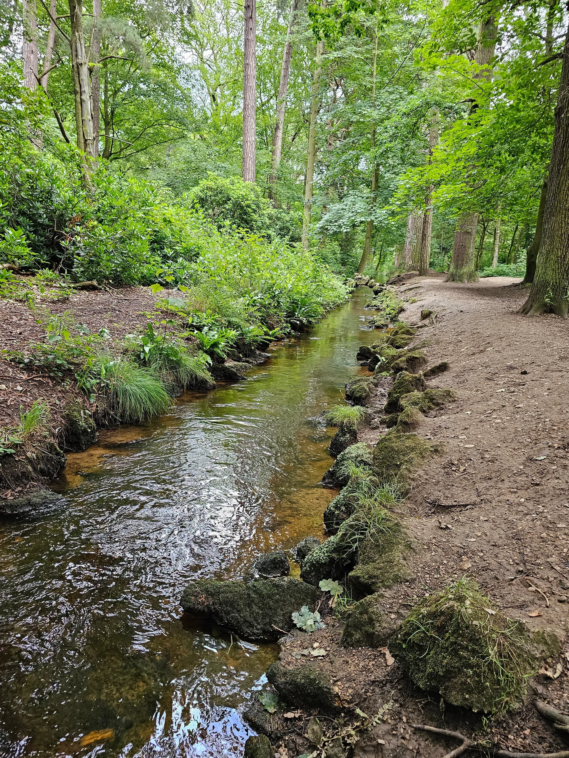 Mama Bear OnlyFans header