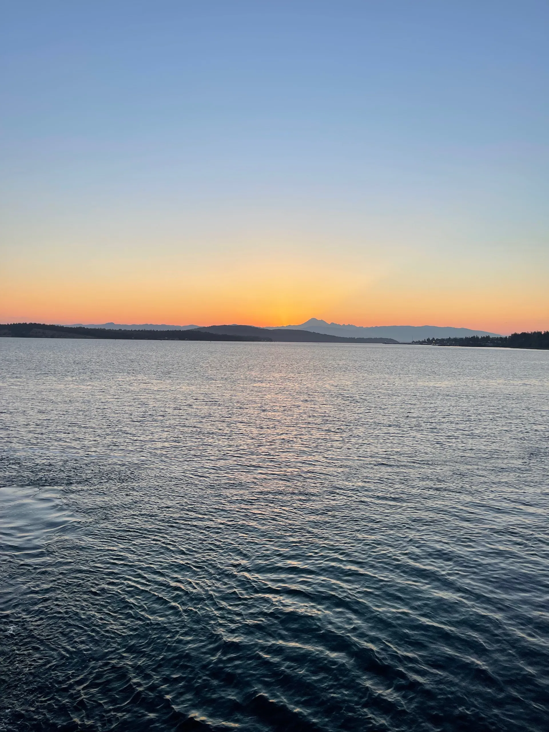 Big Load Bear OnlyFans header