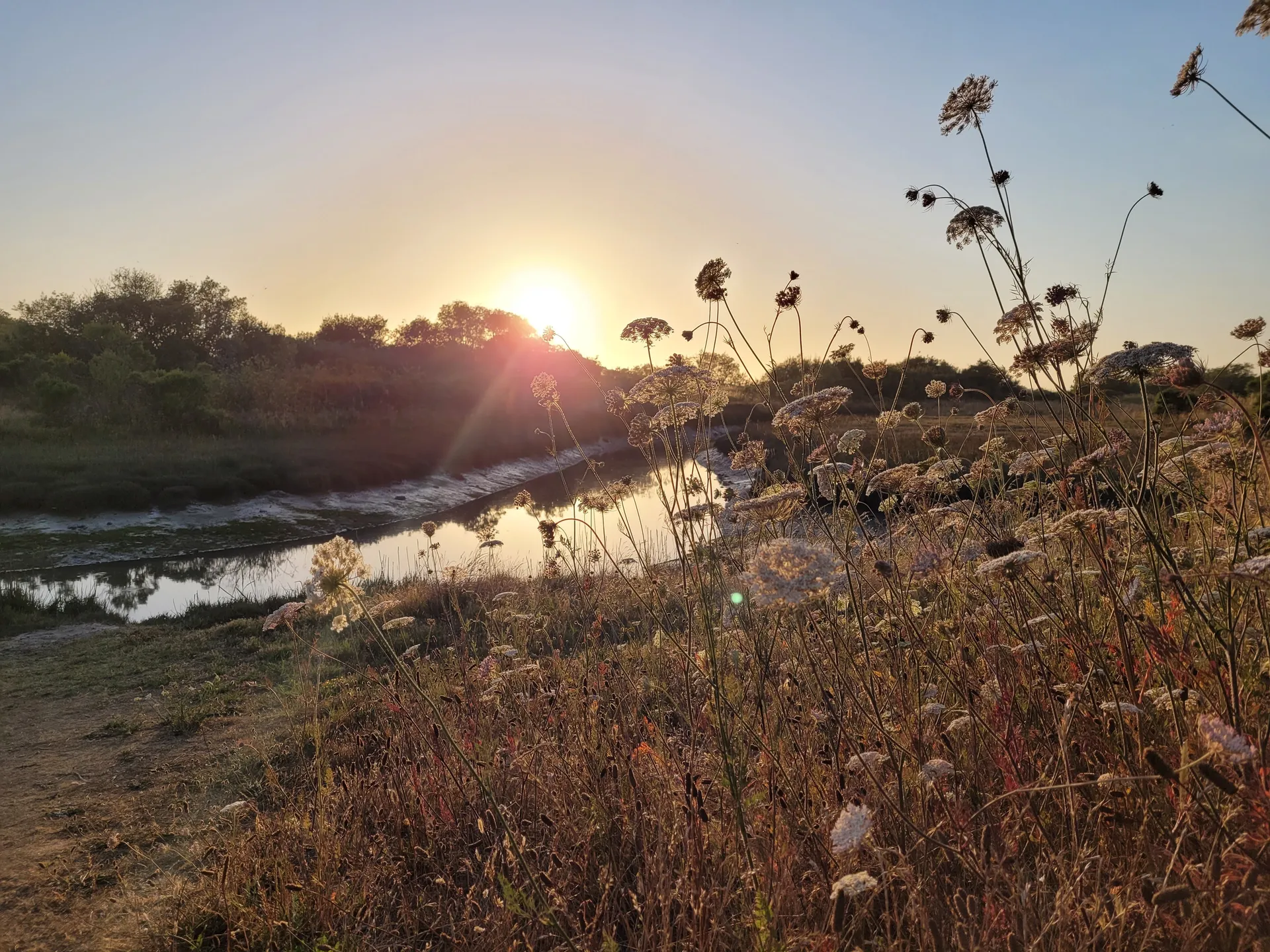 Marie OnlyFans header