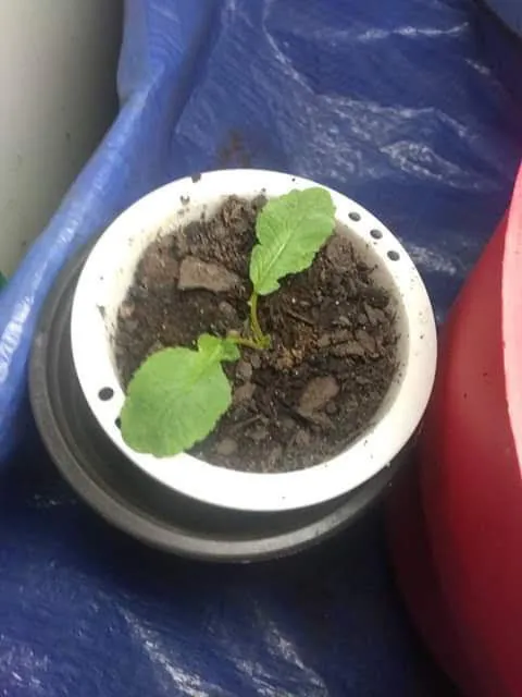 Igottitt OnlyFans header