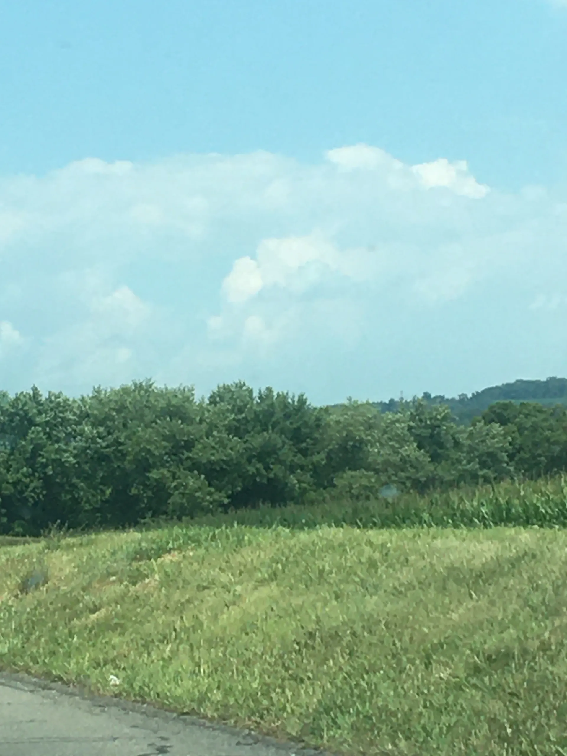 Big Mama wet~Wet OnlyFans header