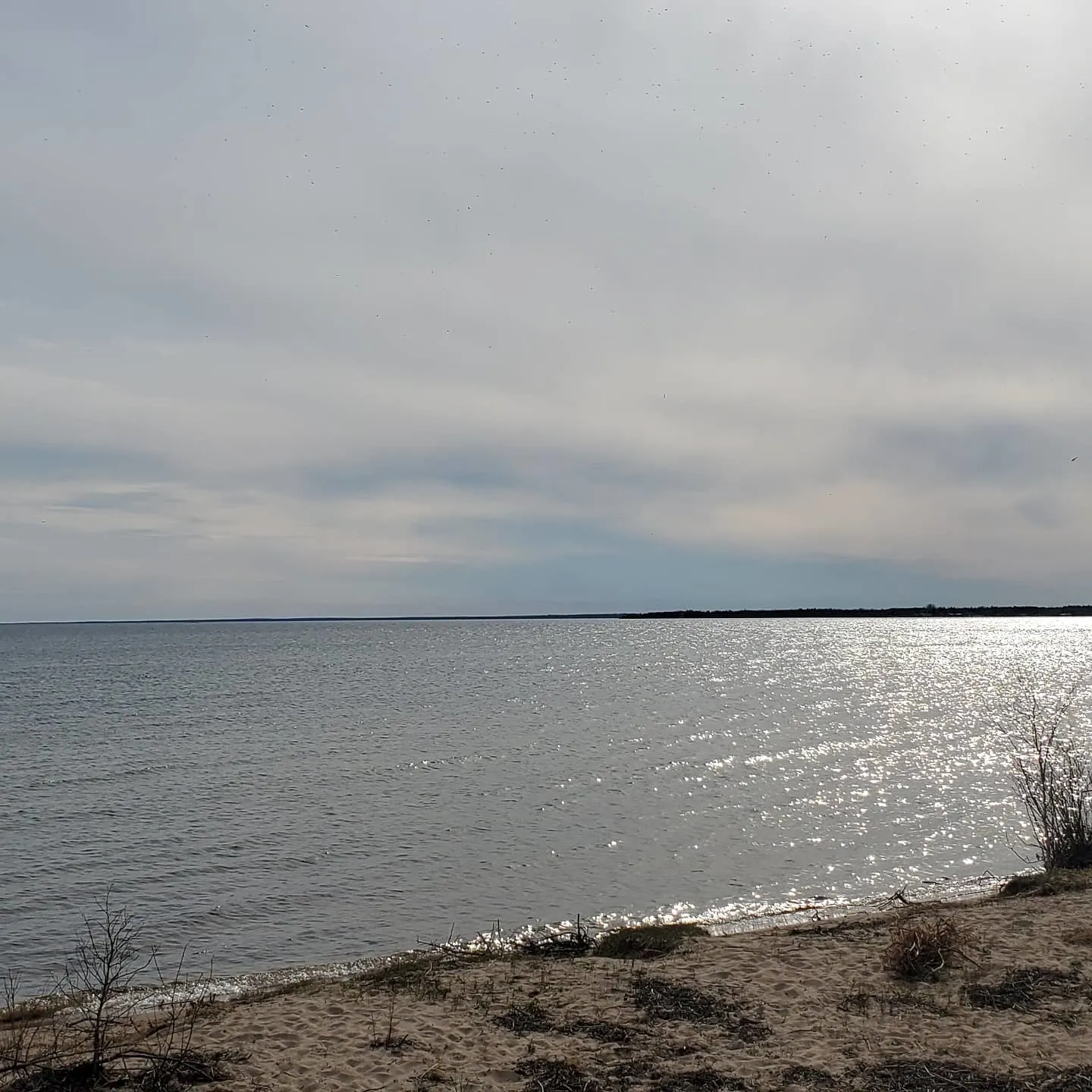 BigManDaddy OnlyFans header