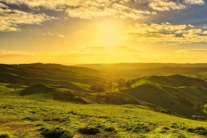 Big men OnlyFans header