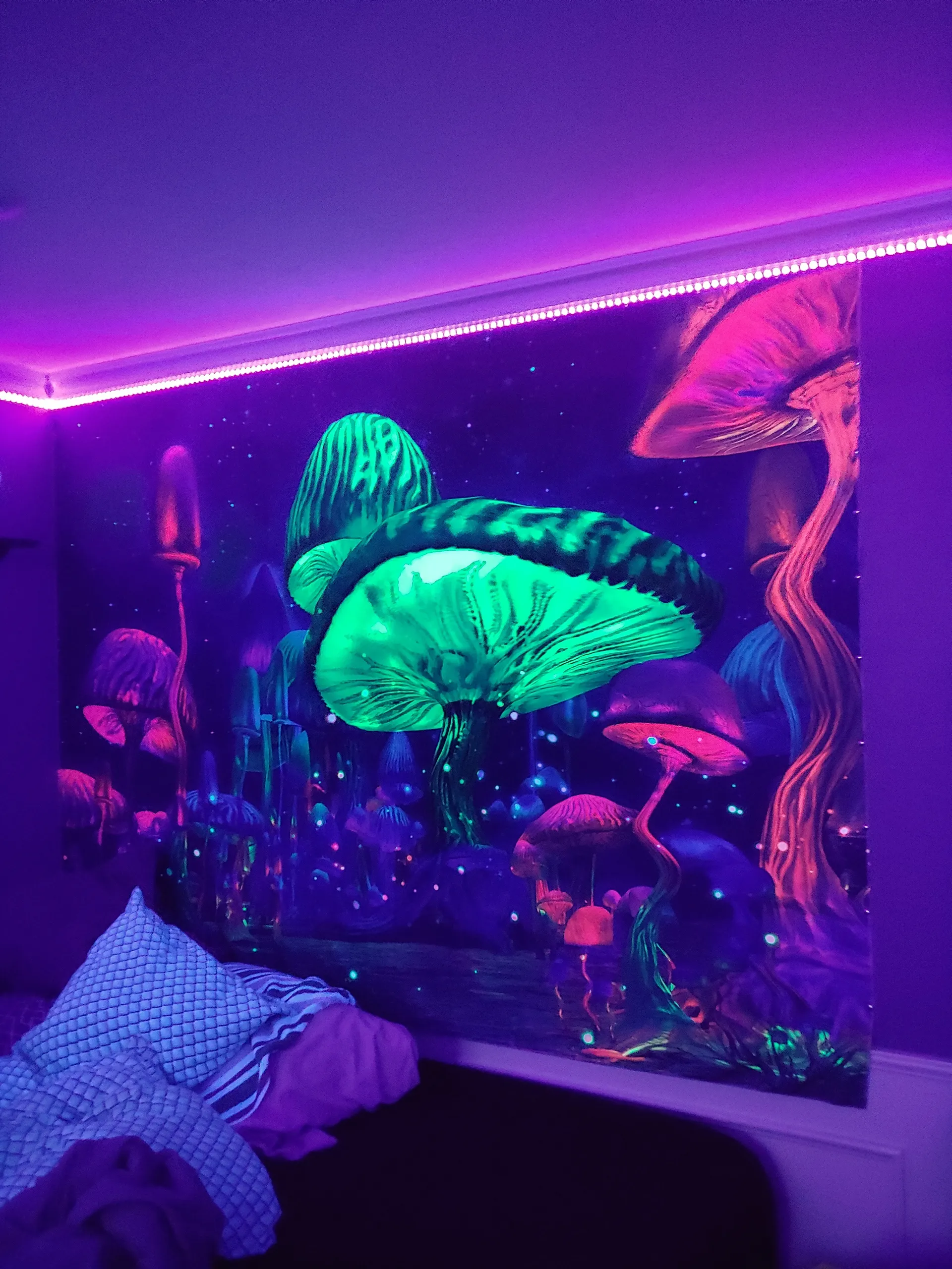 Dick_Goesinya OnlyFans header