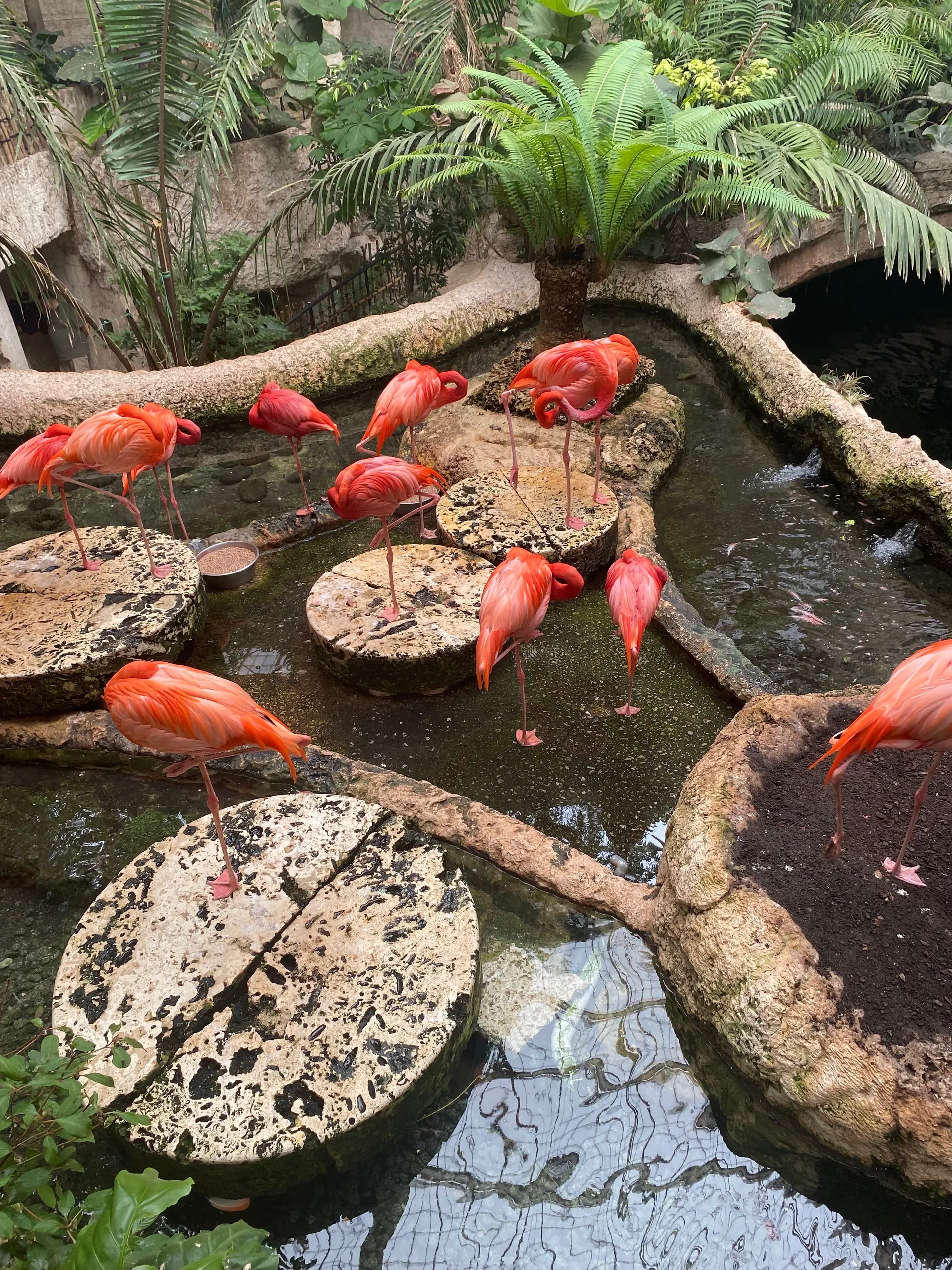 Big Nate 1993 OnlyFans header