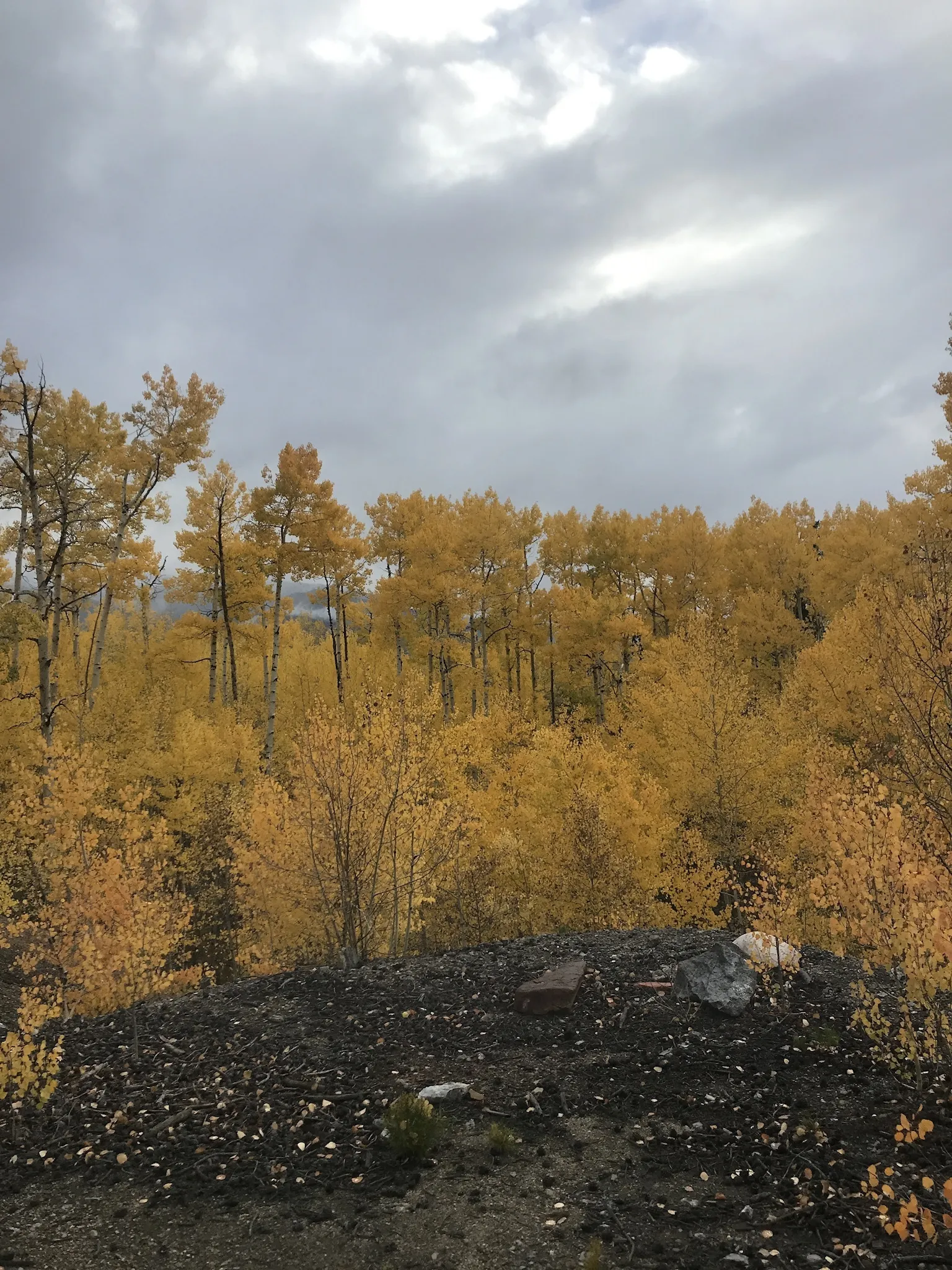 Autumn OnlyFans header