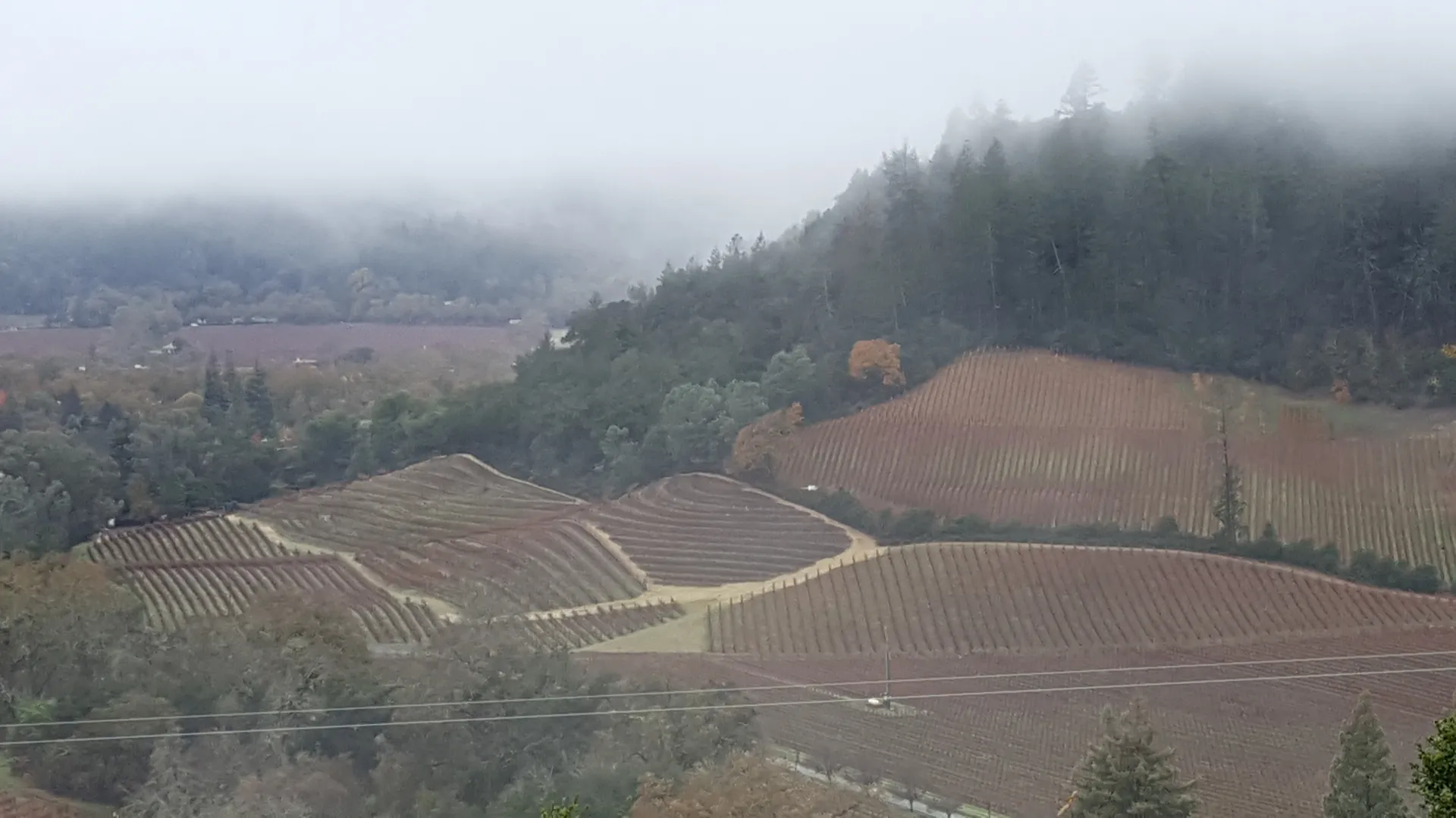 BigPhatDaddy OnlyFans header