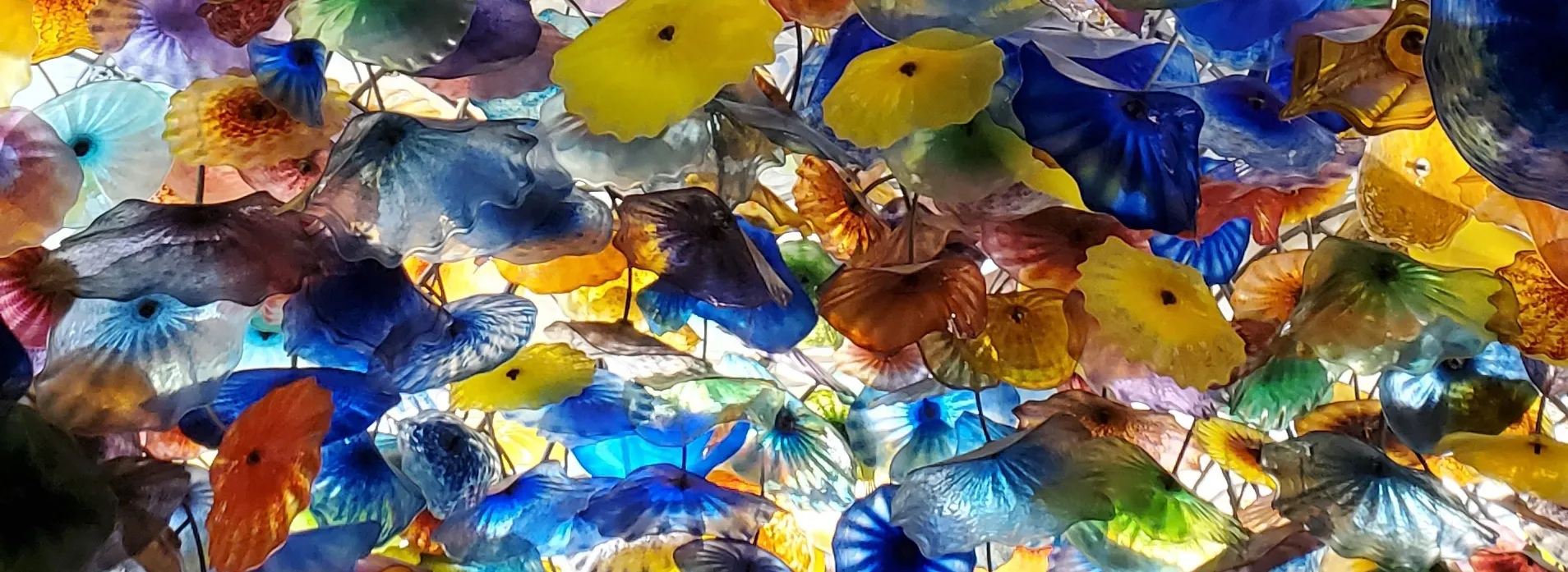 Big Raw Bottom OnlyFans header