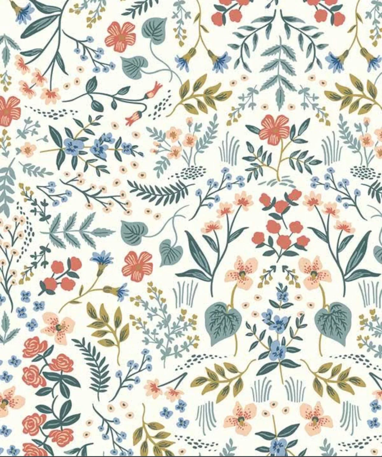 Big Red OnlyFans header