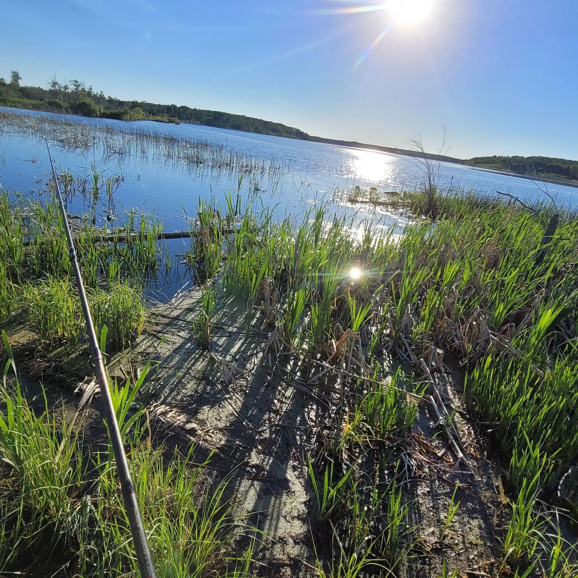 Bigred OnlyFans header
