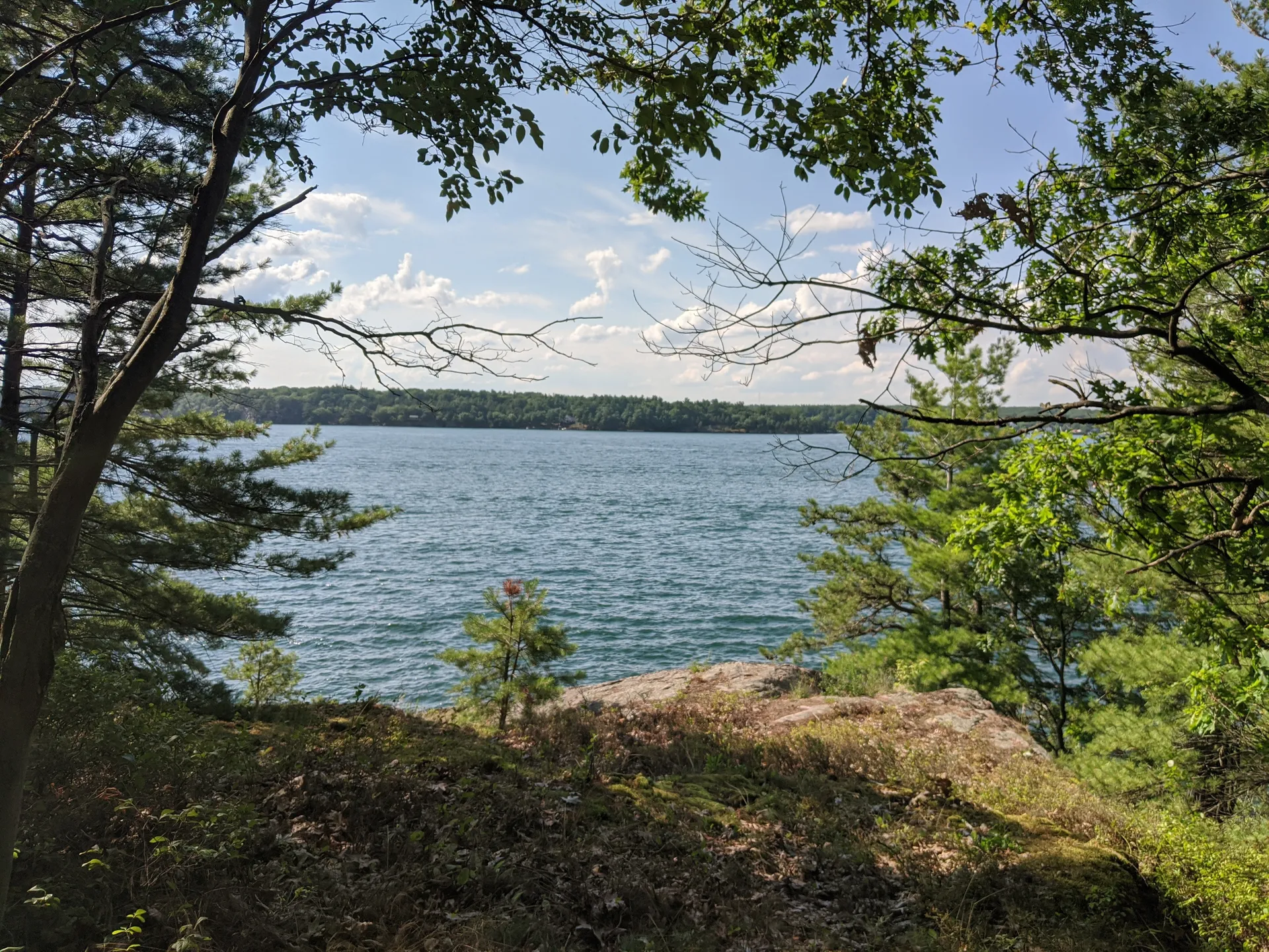 Big Red OnlyFans header