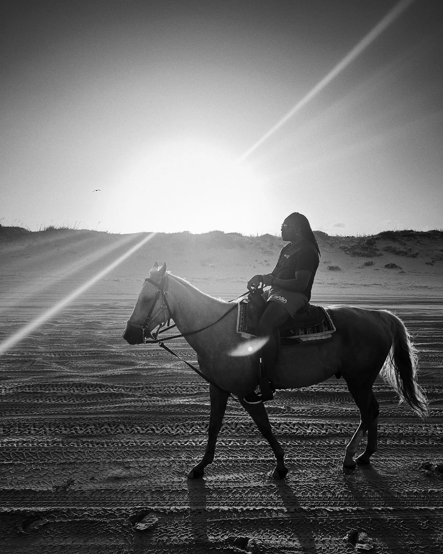 Scooter OnlyFans header